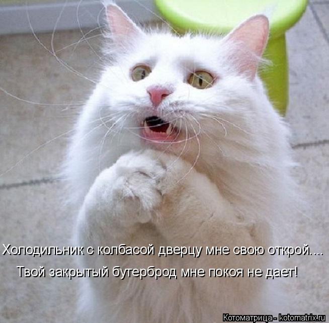 :       ....       !