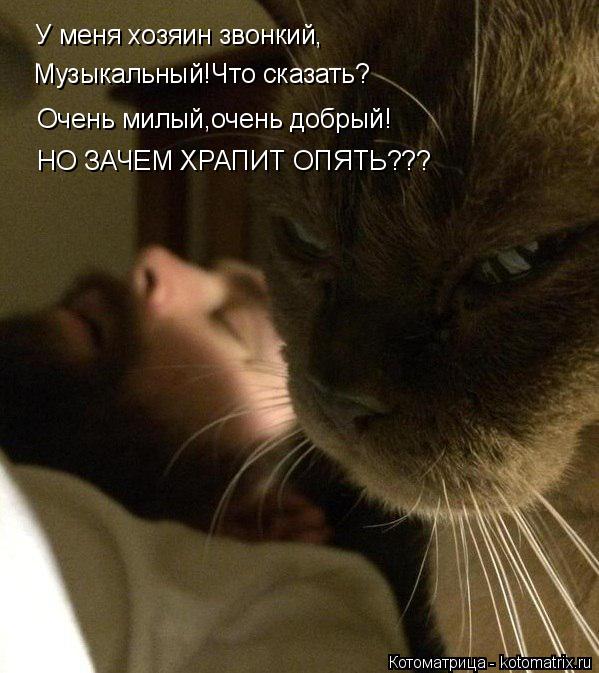Котоматрица: У меня хозяин звонкий, Музыкальный!Что сказать? Очень милый,очень добрый! НО ЗАЧЕМ ХРАПИТ ОПЯТЬ???