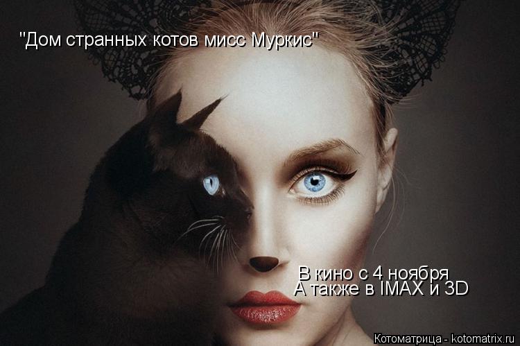 Котоматрица: "Дом странных котов мисс Муркис" В кино с 4 ноября А также в IMAX и 3D