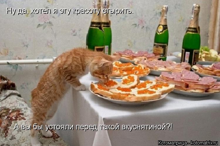 Котоматрица: Ну да, хотел я эту красоту стырить. А вы бы устояли перед такой вкуснятиной?!