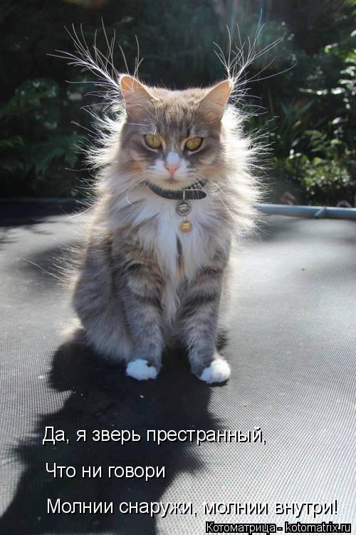 Котоматрица: Да, я зверь престранный, Что ни говори Молнии снаружи, молнии внутри!