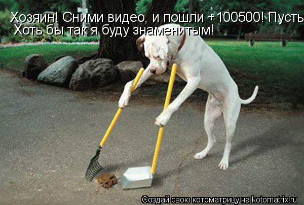 Котоматрица: Хозяин! Сними видео, и пошли +100500! Пусть меня Хоть бы так я буду знаменитым!