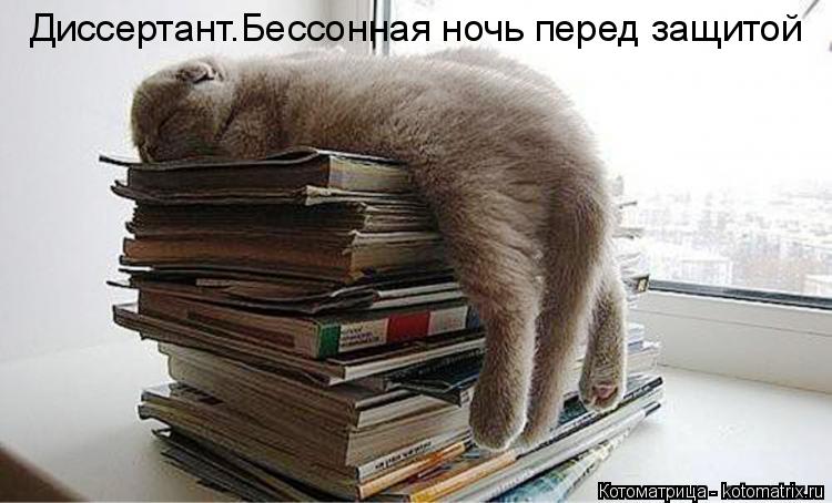 Котоматрица: Диссертант.Бессонная ночь перед защитой