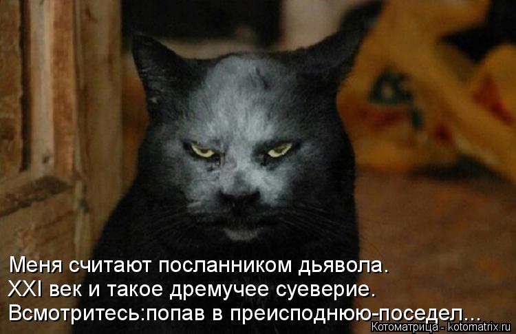 : :  -...    . XXI     .