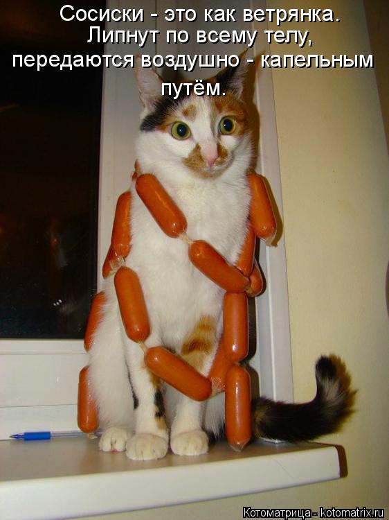 :  -   .     ,   -  .