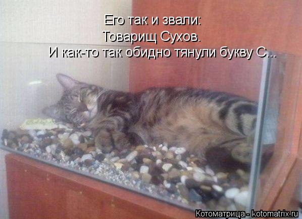 :    :  .  -     ...