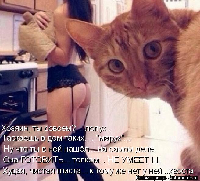 Котоматрица: Хозяин, ты совсем? .. лопух.. Таскаешь в дом таких.... "марух"... Ну что ты в ней нашёл... на самом деле, Она ГОТОВИТЬ... толком... НЕ УМЕЕТ !!!! Худая, чи