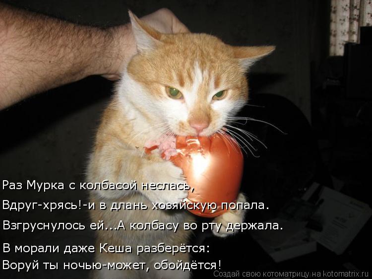 Раз Мурка с колбасой неслась, Вдруг-хрясь!-и в длань хозяйскую попала. Взгруснулось ей...А колбасу во... Котоматрица: Раз Мурка с колбасой неслась, Вдруг-хрясь!-и в длань хозяйскую попала. Взгруснулось ей...А колбасу во рту держала. В морали даже Кеша разберёт