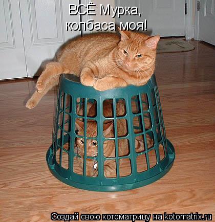 Котоматрица: ВСЁ Мурка, колбаса моя!