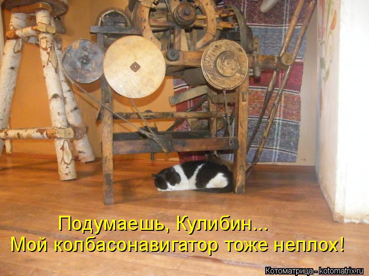 Котоматрица: Мой колбасонавигатор тоже неплох! Подумаешь, Кулибин...