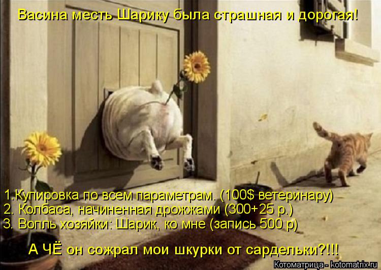 Котоматрица: 1.Купировка по всем параметрам. (100$ ветеринару) 2. Колбаса, начиненная дрожжами (300+25 р.) 3. Вопль хозяйки: Шарик, ко мне (запись 500 р) А ЧЁ он сожра