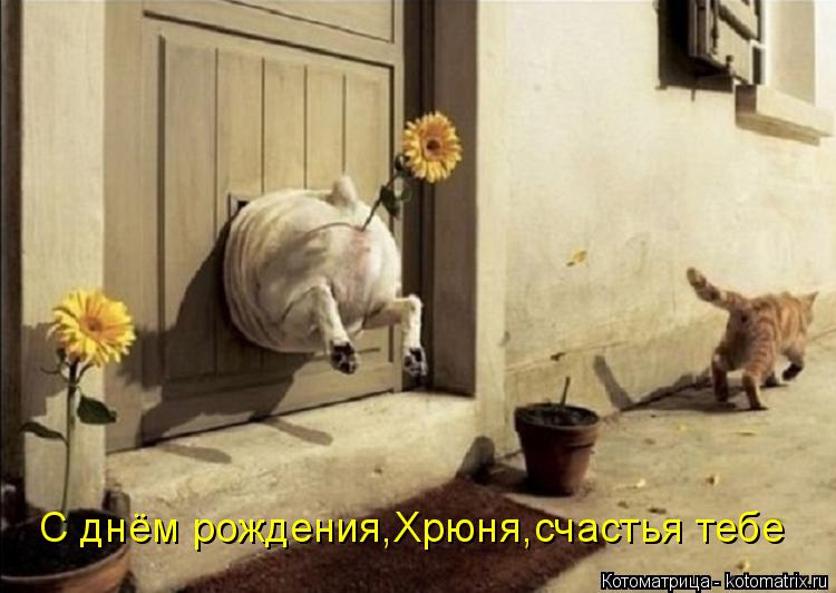 Котоматрица: С днём рождения,Хрюня,счастья тебе