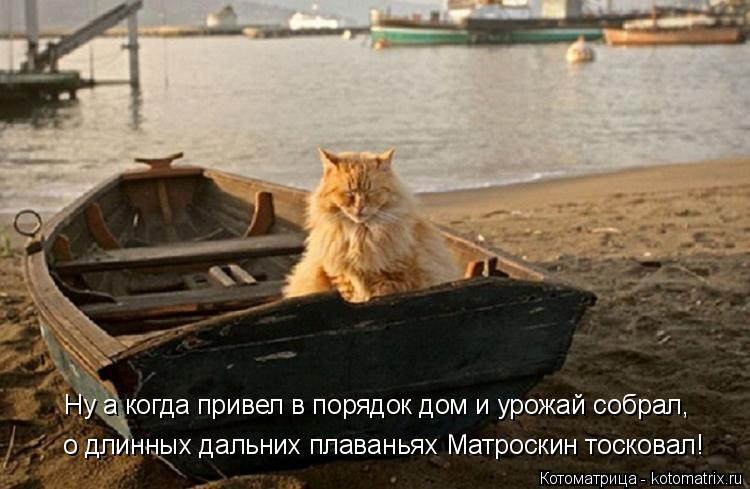 Котоматрица: о длинных дальних плаваньях Матроскин тосковал! Ну а когда привел в порядок дом и урожай собрал,