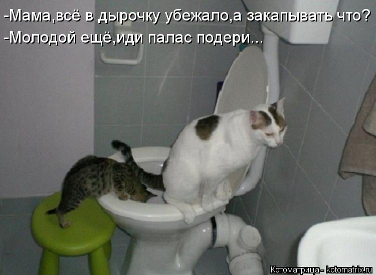 : -,   ,  ? - ,  ...