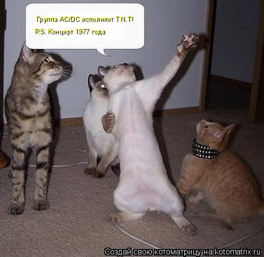 Котоматрица: Группа AC/DC исполняет T.N.T! Р.S. Концерт 1977 года