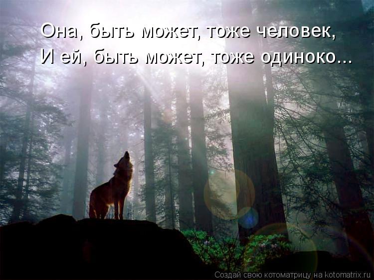 Котоматрица: Она, быть может, тоже человек, И ей, быть может, тоже одиноко...