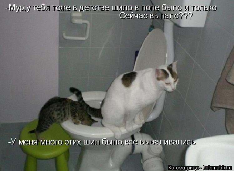 Котоматрица: -Мур,у тебя тоже в детстве шило в попе было и только Сейчас выпало??? -У меня много этих шил было,все вываливались