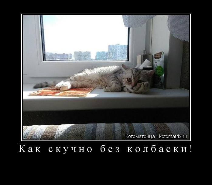 Котоматрица:                  Как скучно без колбаски! 
