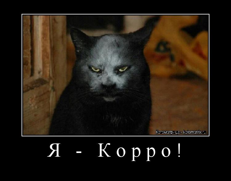 Котоматрица: Я - Корро! 