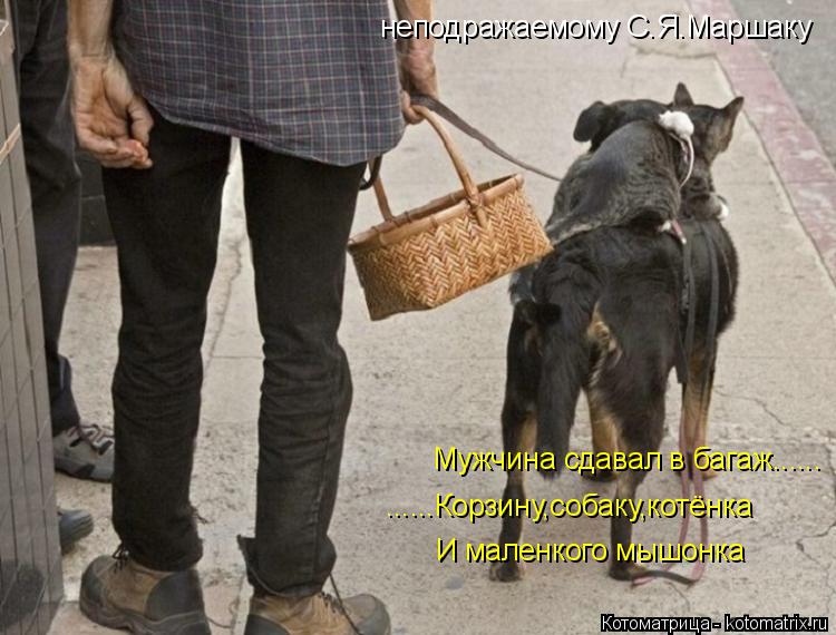 Котоматрица: неподражаемому С.Я.Маршаку Мужчина сдавал в багаж...... ......Корзину,собаку,котёнка И маленкого мышонка