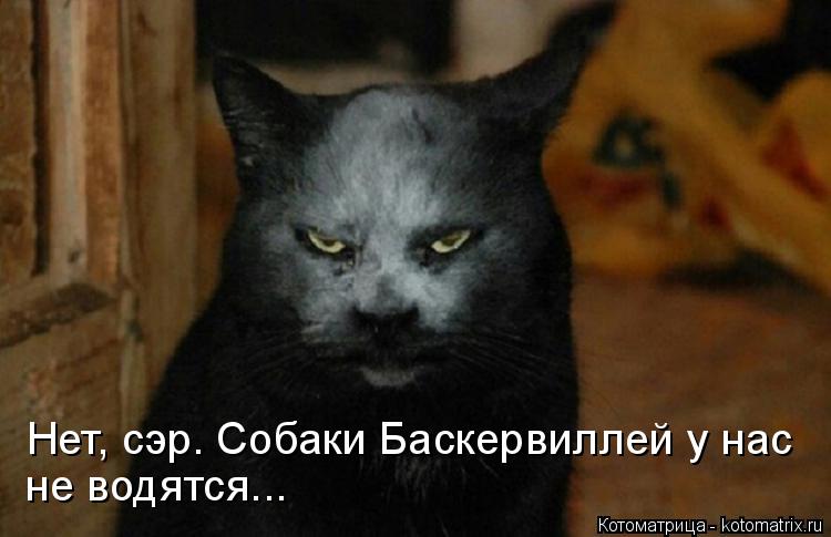 Котоматрица: Нет, сэр. Собаки Баскервиллей у нас не водятся...