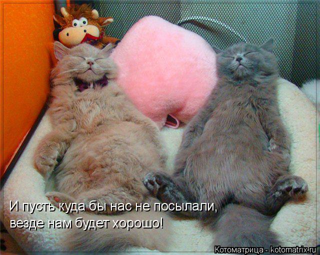 Котоматрица: И пусть куда бы нас не посылали, везде нам будет хорошо!