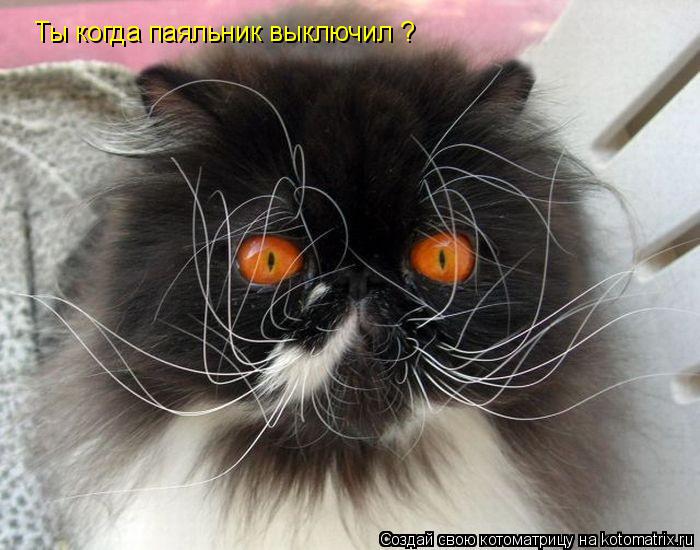 Котоматрица: Ты когда паяльник выключил ?
