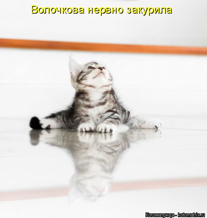 Котоматрица: Волочкова нервно закурила