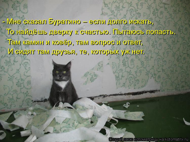 Котоматрица: - Мне сказал Буратино – если долго искать, То найдёшь дверку к счастью. Пытаюсь попасть. Там камин и ковёр, там вопрос и ответ, И сидят там дру