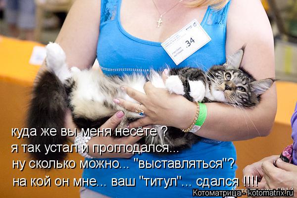Котоматрица: куда же вы меня несёте ? я так устал и проглодался... ну сколько можно... "выставляться"? на кой он мне... ваш "титул"... сдался !!!!