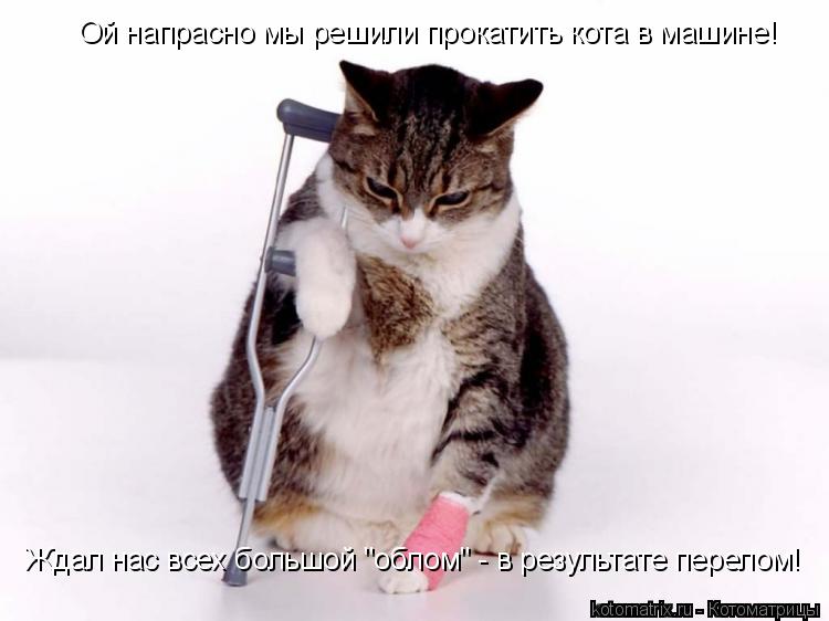 Котоматрица: Ой напрасно мы решили прокатить кота в машине! Ждал нас всех большой "облом" - в результате перелом!