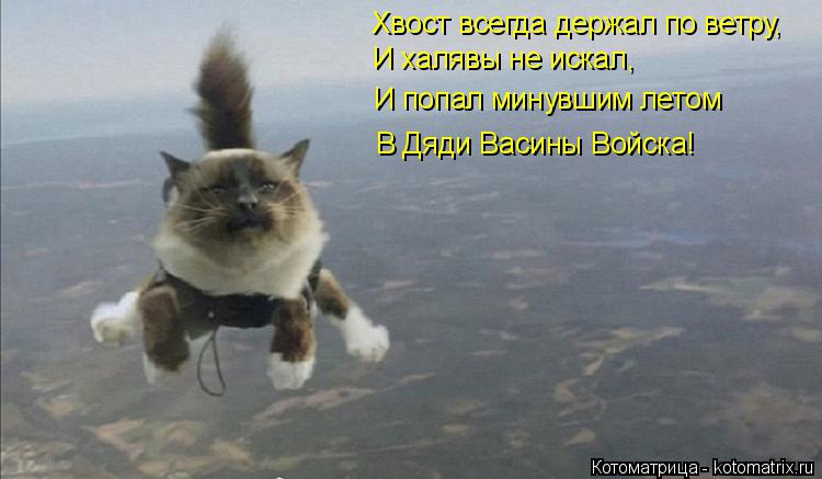 Котоматрица: Хвост всегда держал по ветру, И халявы не искал, И попал минувшим летом В Дяди Васины Войска!