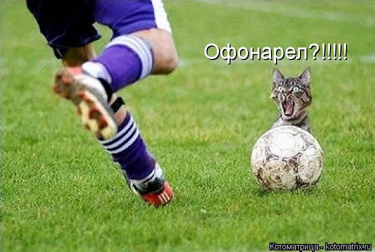 Котоматрица: Офонарел?!!!!!