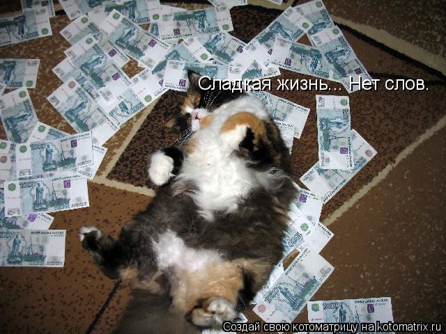 Котоматрица: Сладкая жизнь... Нет слов.