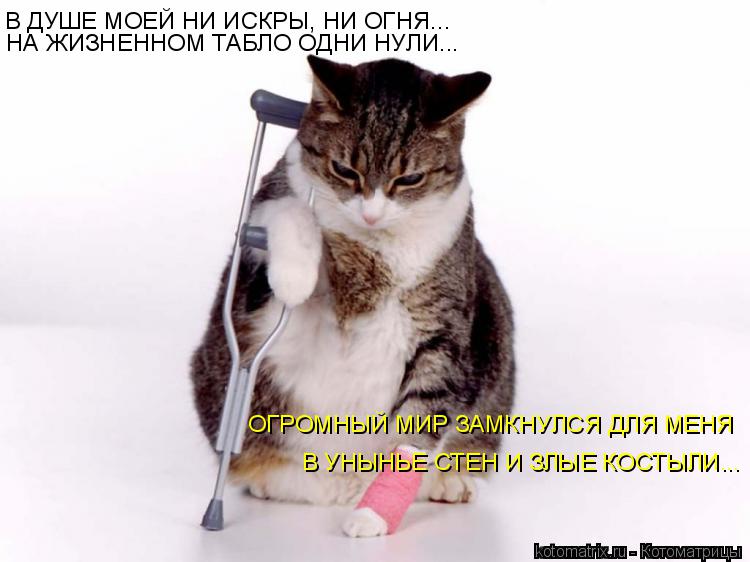 В ДУШЕ МОЕЙ НИ ИСКРЫ, НИ ОГНЯ... НА ЖИЗНЕННОМ ТАБЛО ОДНИ НУЛИ... ОГРОМНЫЙ МИР ЗАМКНУЛСЯ ДЛЯ МЕНЯ В УН... Котоматрица: В ДУШЕ МОЕЙ НИ ИСКРЫ, НИ ОГНЯ... НА ЖИЗНЕННОМ ТАБЛО ОДНИ НУЛИ... ОГРОМНЫЙ МИР ЗАМКНУЛСЯ ДЛЯ МЕНЯ В УНЫНЬЕ СТЕН И ЗЛЫЕ КОСТЫЛИ...