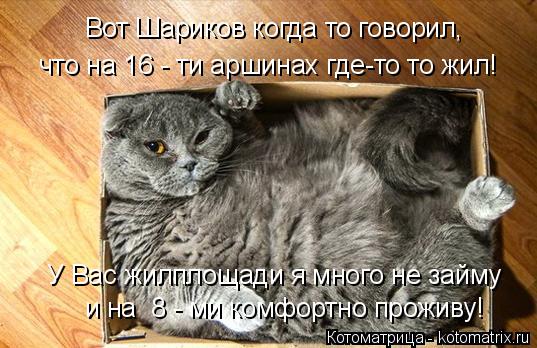 Котоматрица: Вот Шариков когда то говорил, что на 16 - ти аршинах где-то то жил! и на  8 - ми комфортно проживу! У Вас жилплощади я много не займу