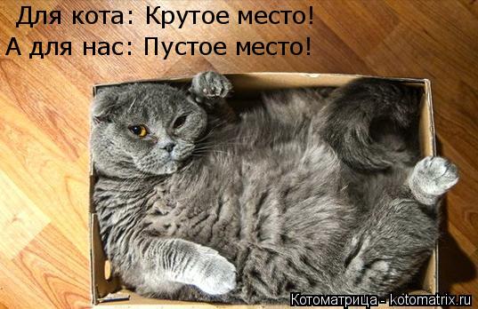 Котоматрица: Для кота: Крутое место! А для нас: Пустое место!