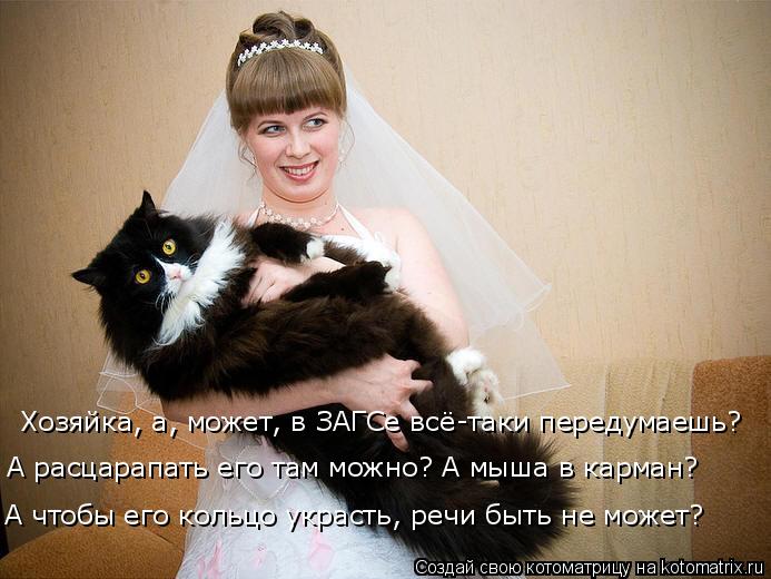 : , , ,   - ?     ?    ?     ,    ?