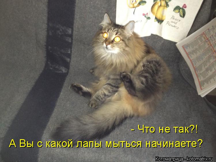 : -   ?!       ?