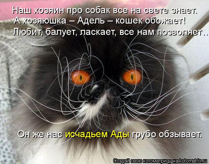 Котоматрица: Наш хозяин про собак все на свете знает. А хозяюшка – Адель – кошек обожает! Любит, балует, ласкает, все нам позволяет… Он же нас исчадьем Ад