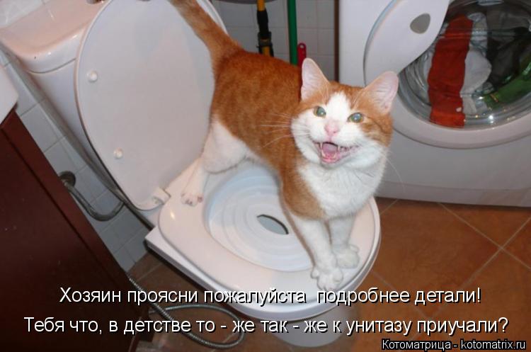 :      !  ,    -   -    ?