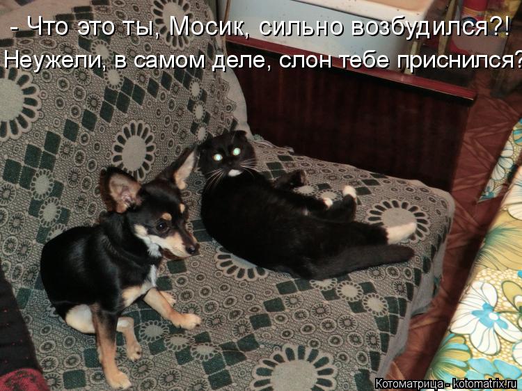 : -   , ,  ?! ,   ,   ?!