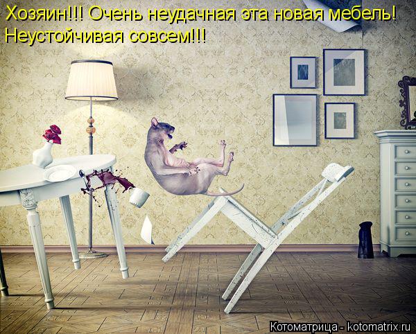 Котоматрица: Хозяин!!! Очень неудачная эта новая мебель! Неустойчивая совсем!!!