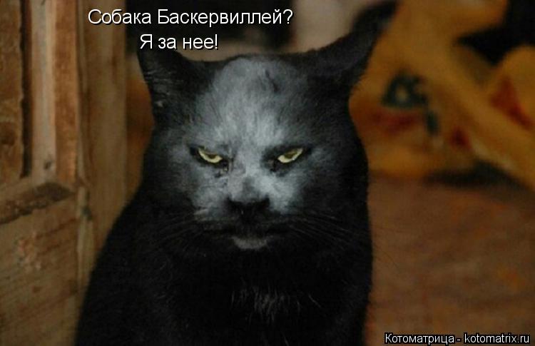 Котоматрица: Собака Баскервиллей? Я за нее!