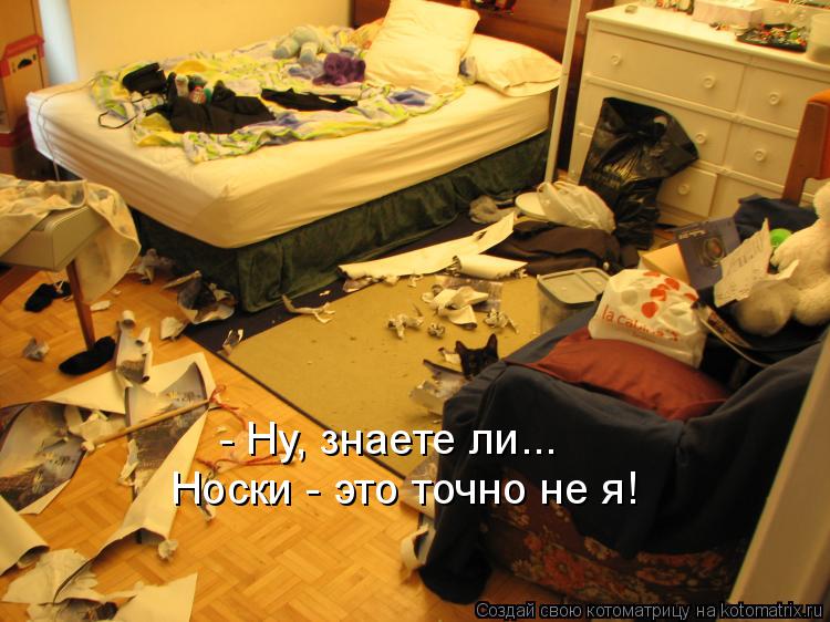 Котоматрица: - Ну, знаете ли... Носки - это точно не я!