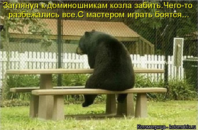 Котоматрица: Заглянул к доминошникам козла забить.Чего-то разбежались все.С мастером играть боятся...