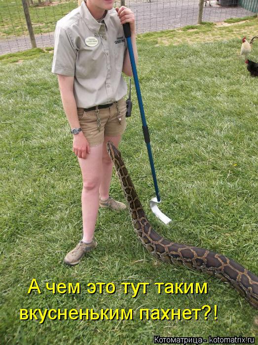 Котоматрица: А чем это тут таким  вкусненьким пахнет?!