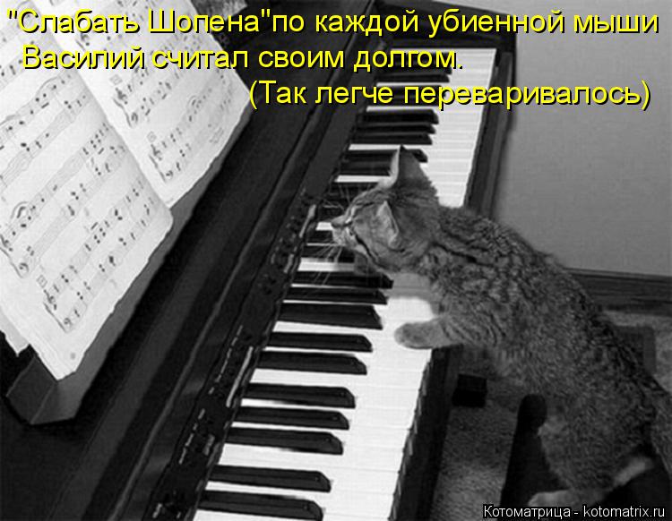 Котоматрица: "Слабать Шопена"по каждой убиенной мыши (Так легче переваривалось) Василий считал своим долгом.