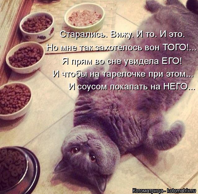 Котоматрица: Но мне так захотелось вон ТОГО!... Старались. Вижу. И то. И это. Я прям во сне увидела ЕГО! И чтобы на тарелочке при этом... И соусом покапать на Н