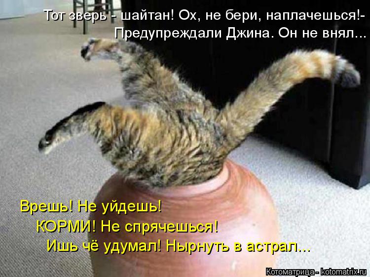 Предупреждали Джина. Он не внял... Тот зверь - шайтан! Ох, не бери, наплачешься!- Врешь! Не уйдешь! ... Котоматрица: Предупреждали Джина. Он не внял... Тот зверь - шайтан! Ох, не бери, наплачешься!- Врешь! Не уйдешь! КОРМИ! Не спрячешься! Ишь чё удумал! Нырнуть в